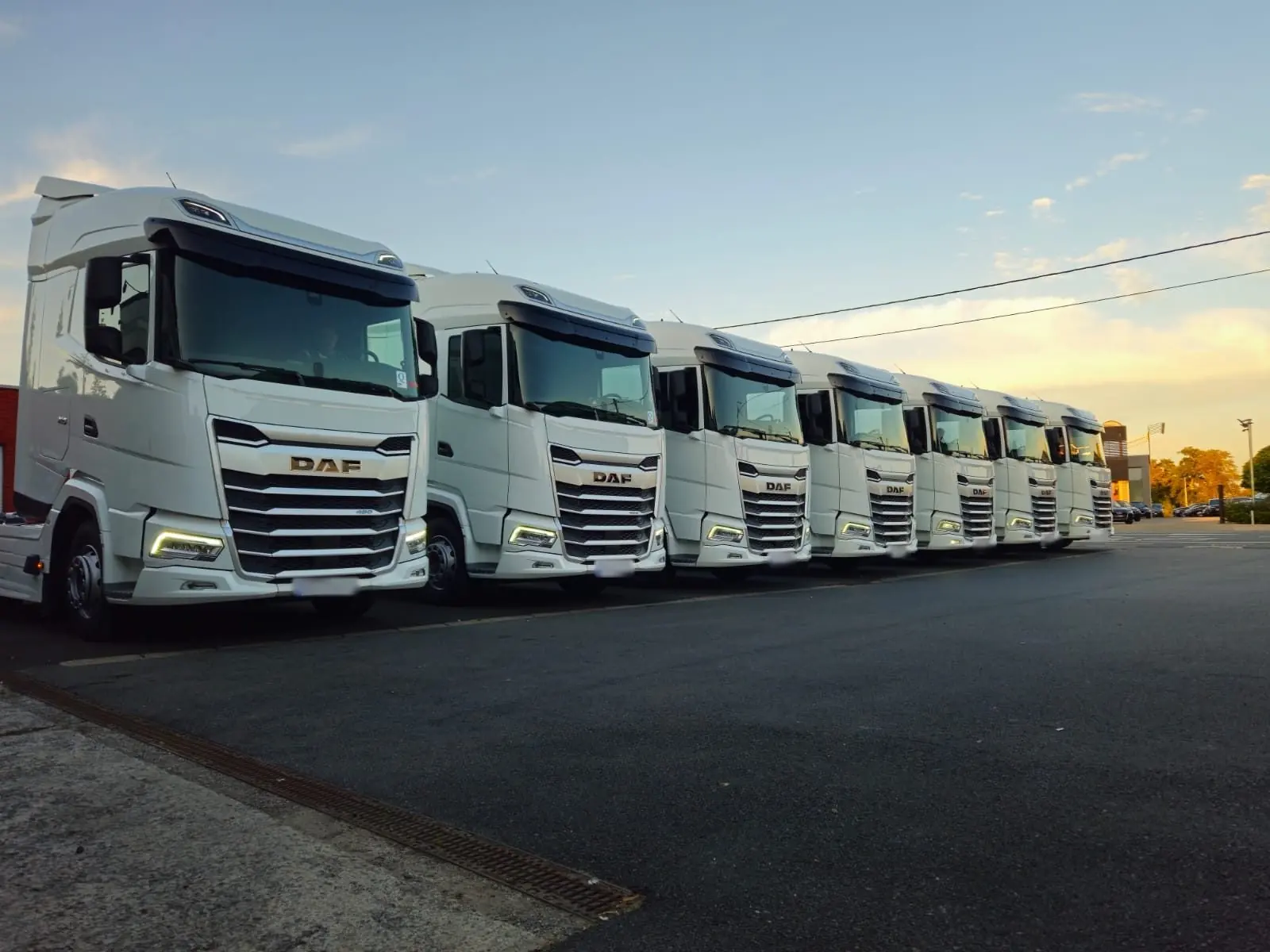 Rij DAF-trucks
